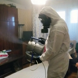 Дезинфекция от клопов в Соколе